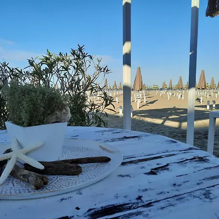 بيت شباب Stella Marina *