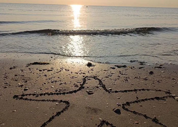 Stella Marina * تْشيزيناتيكو