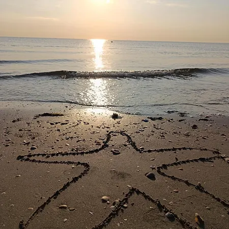 Stella Marina * Cesenatico